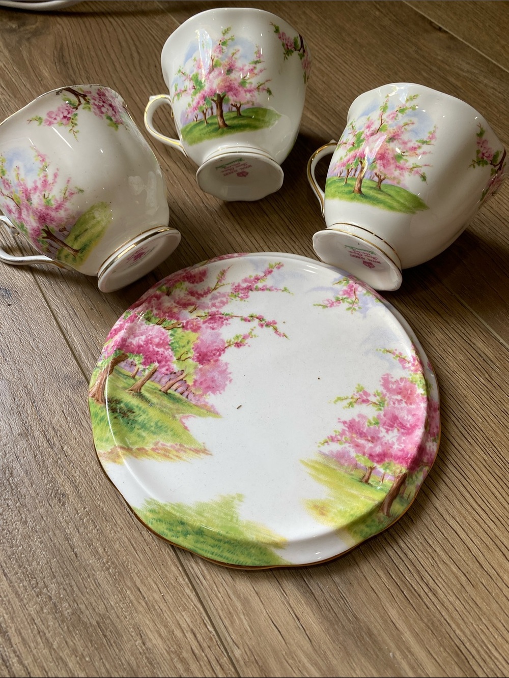 Royal Albert Pink Blossom Teacups and Saucer Set with Gold Trim